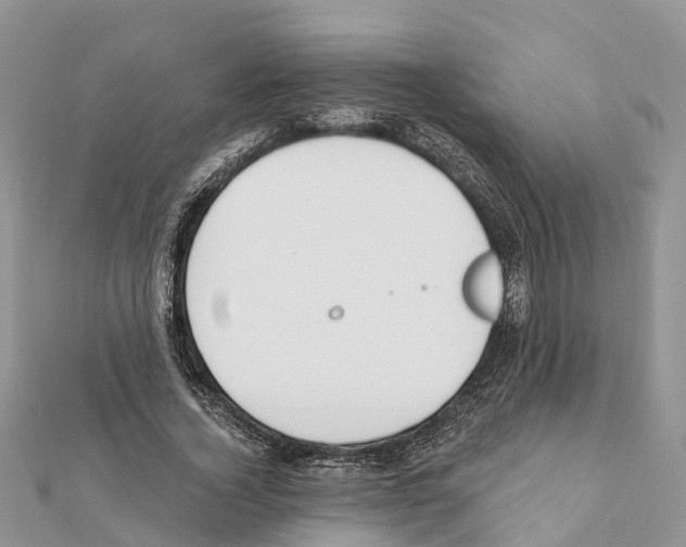 X0000111380732200908211339