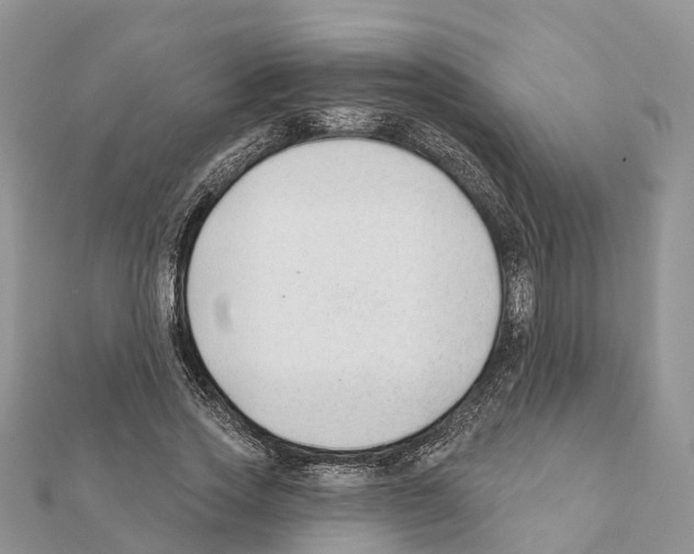 X0000111380733200908211339