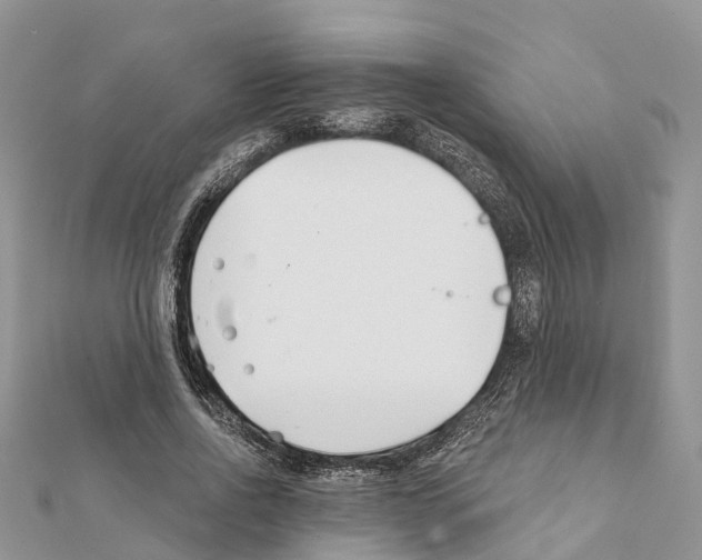 X0000111380734200908211339