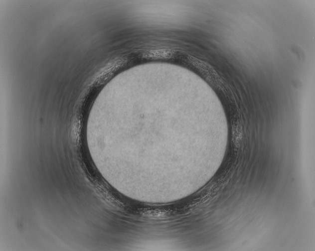 X0000111380735200908211339