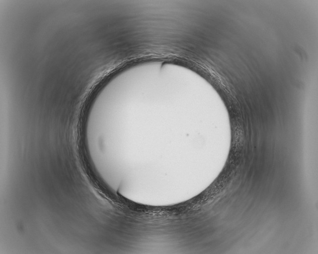 X0000111380736200908211339