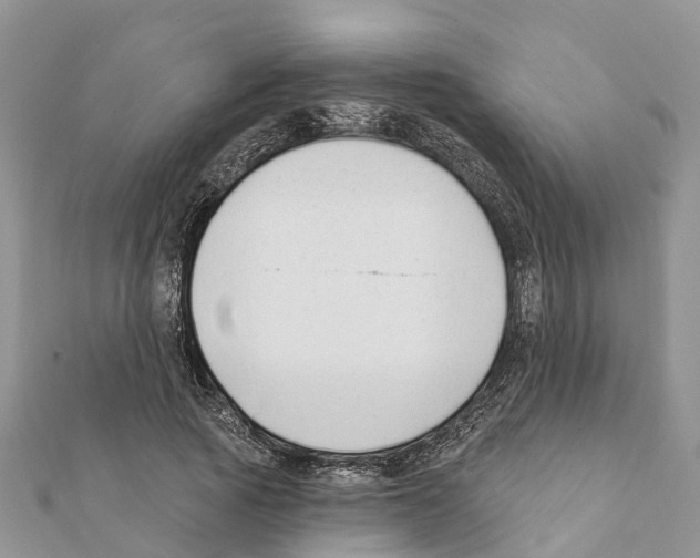 X0000111380737200908211339