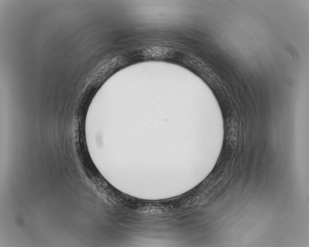 X0000111380738200908211339