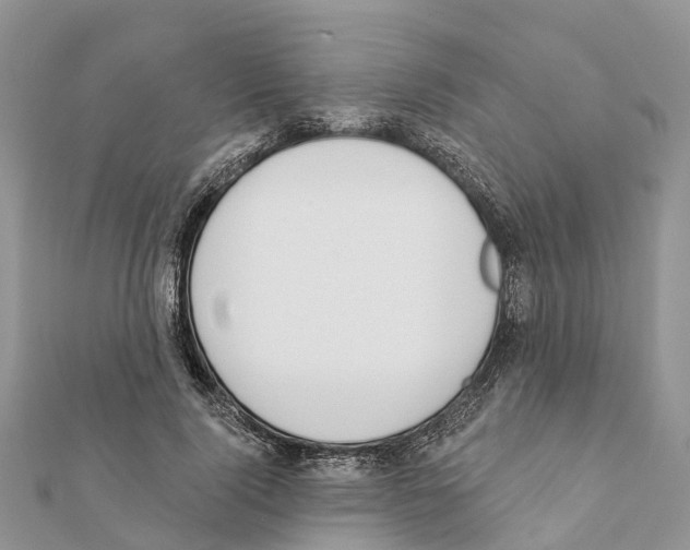 X0000111380740200908211339