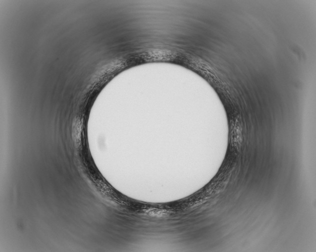 X0000111380742200908211339