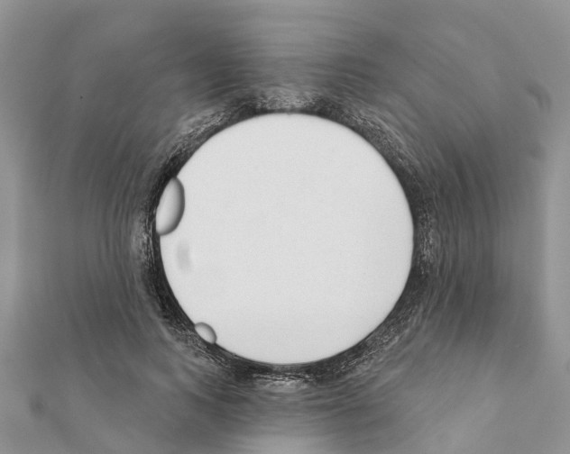 X0000111380743200908211339