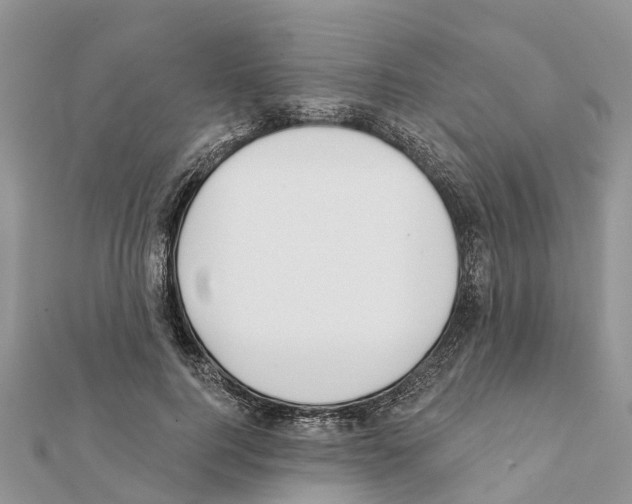 X0000111380744200908211339