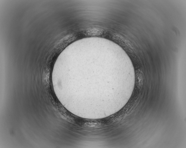 X0000111380745200908211339