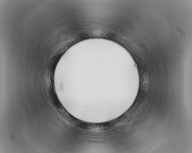 X0000111380746200908211339