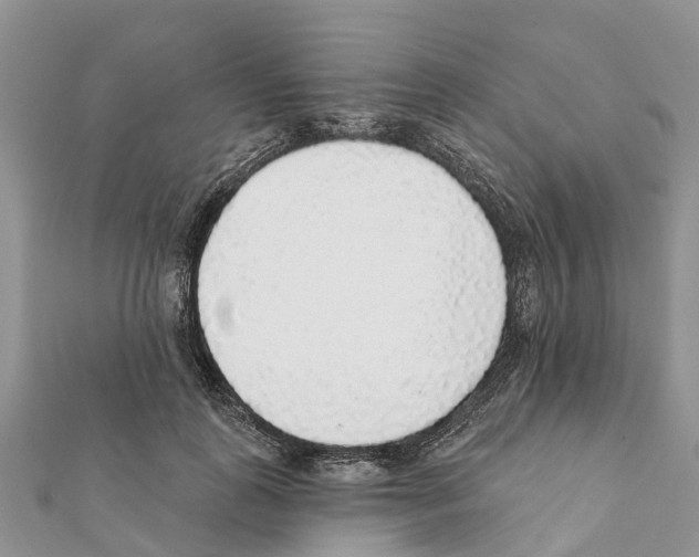 X0000111380747200908211339