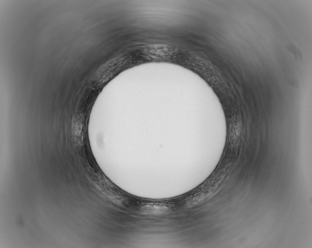 X0000111380749200908211339