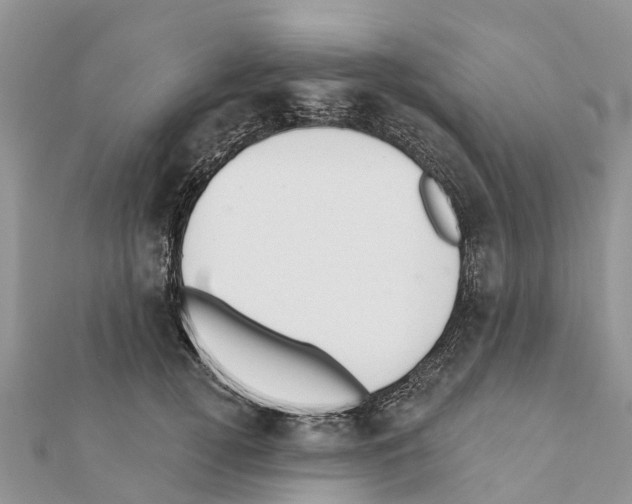 X0000111380752200908211339