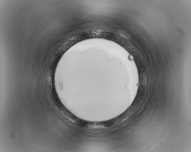 X0000111380754200908211339