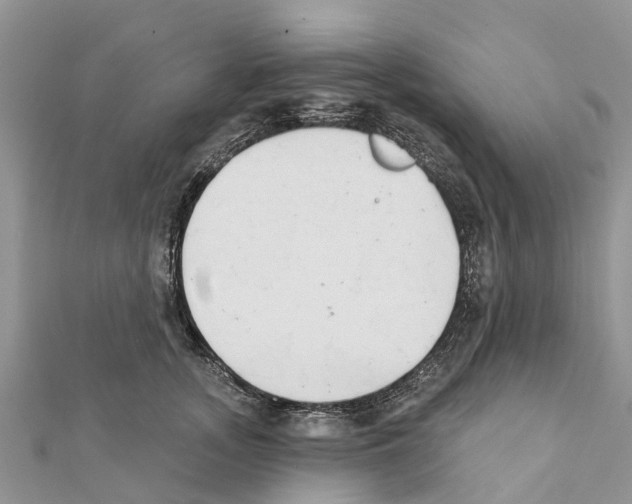 X0000111380755200908211339