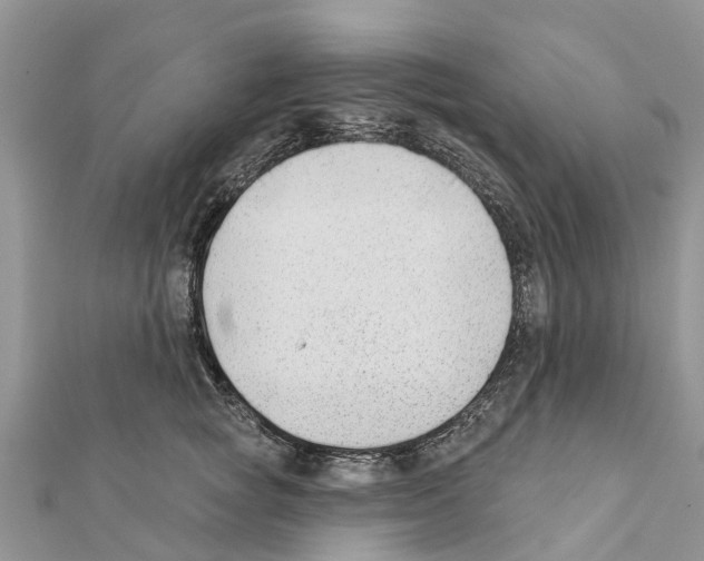 X0000111380757200908211339