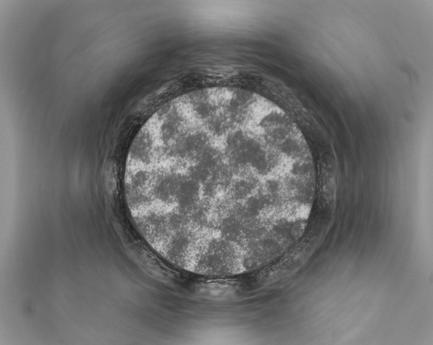 X0000111380758200908211339