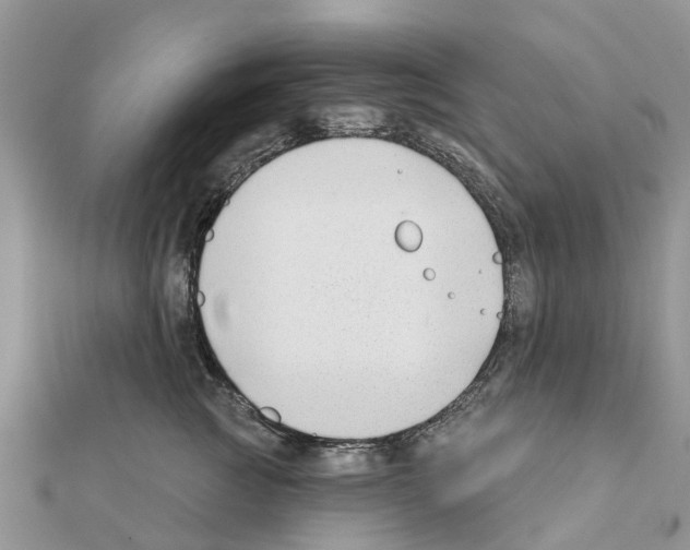 X0000111380761200908211340