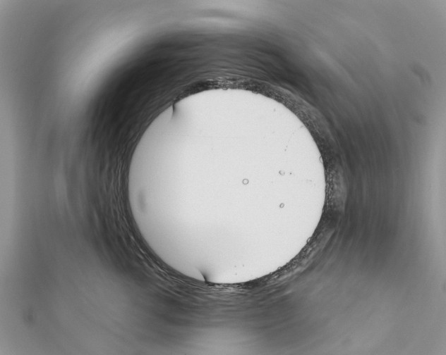 X0000111380762200908211340