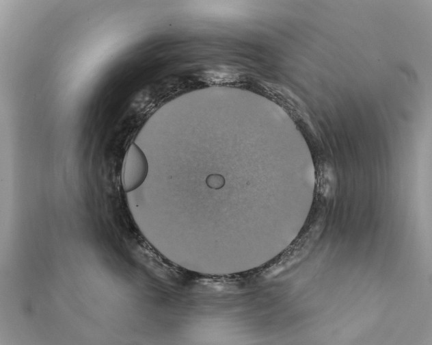 X0000111380763200908211340