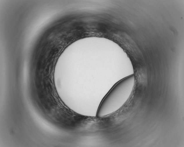 X0000111380764200908211340