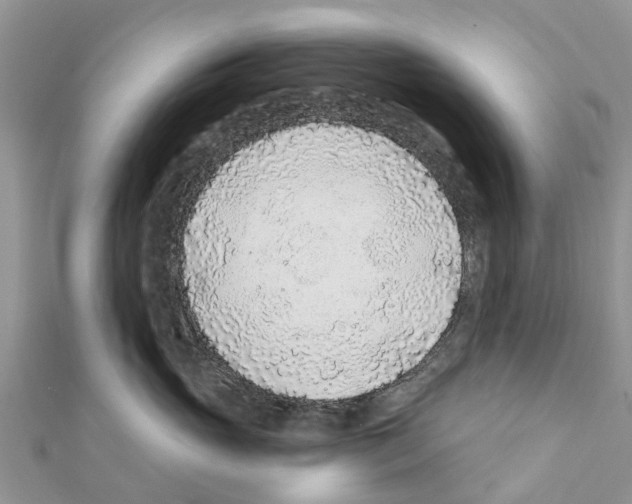 X0000111380765200908211340