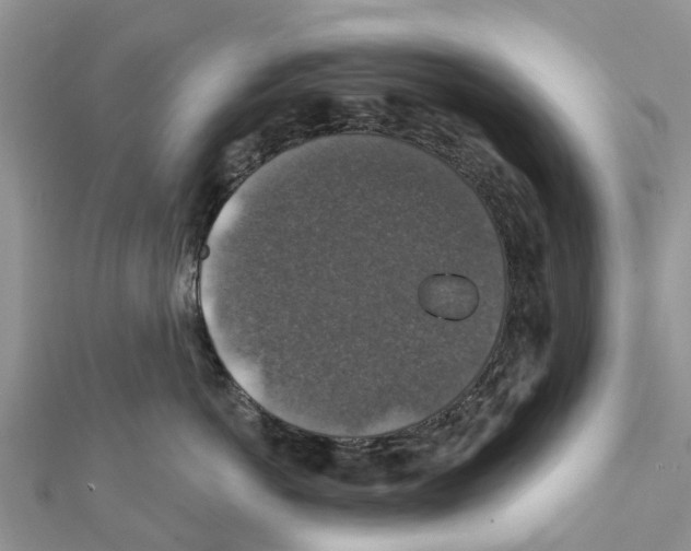 X0000111380766200908211340