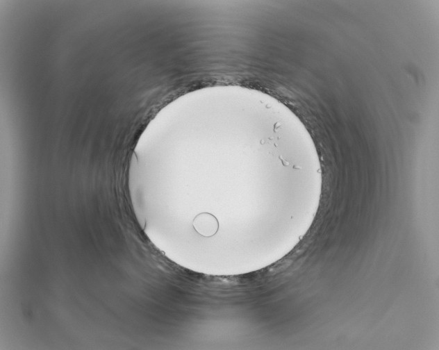 X0000111380768200908211340