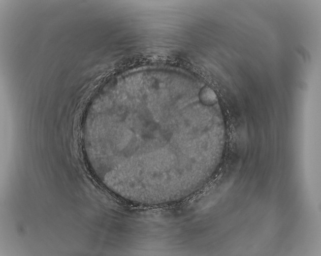 X0000111380769200908211339