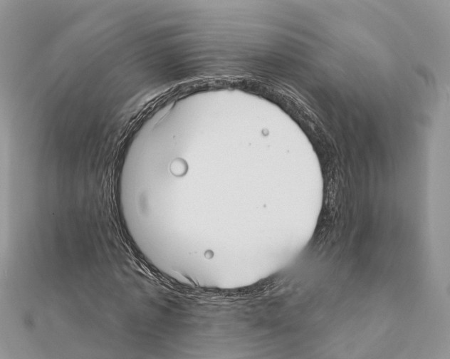 X0000111380773200908211339