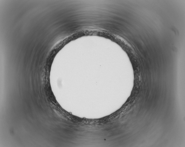 X0000111380775200908211339