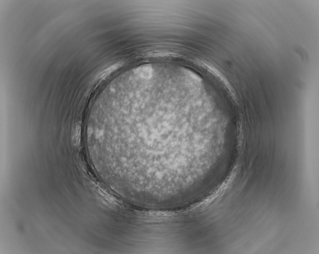 X0000111380777200908211339