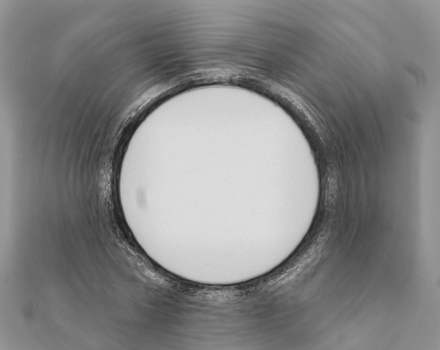 X0000111380778200908211339