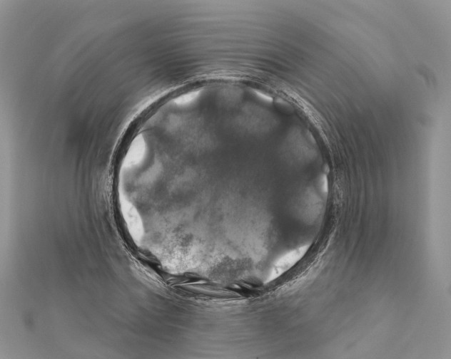 X0000111380779200908211339