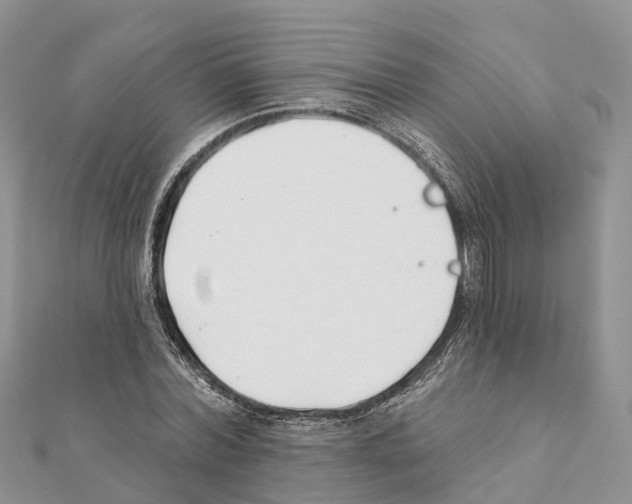 X0000111380780200908211339