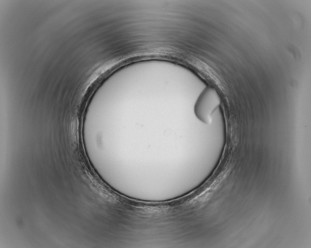 X0000111380781200908211339