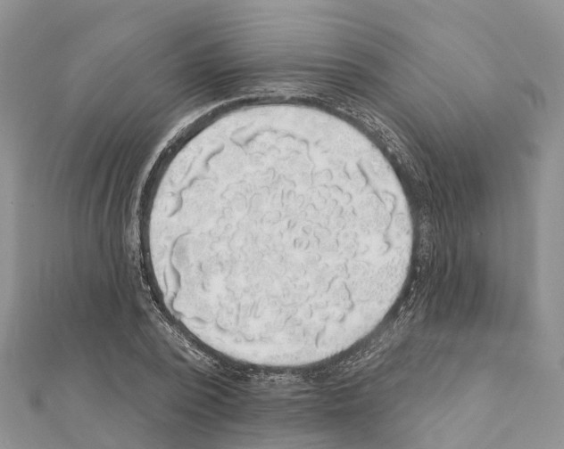 X0000111380784200908211339