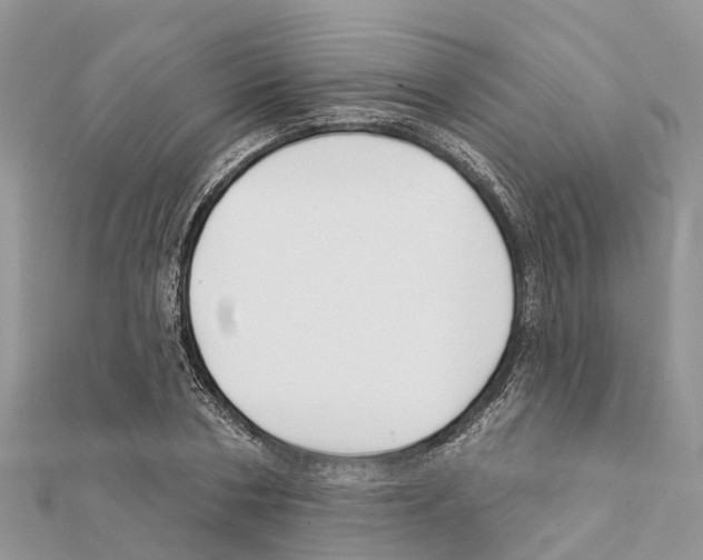 X0000111380786200908211339