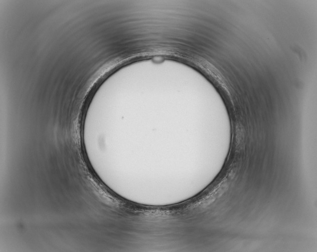 X0000111380789200908211339