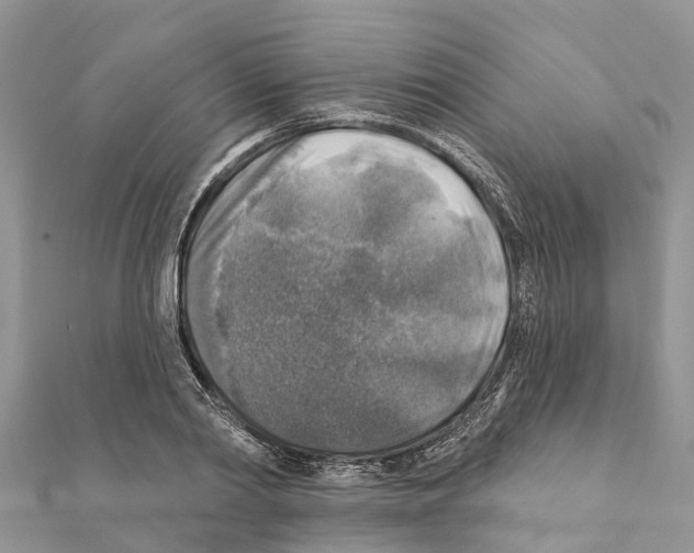 X0000111380790200908211338