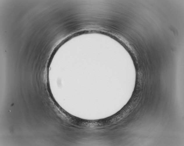 X0000111380791200908211338