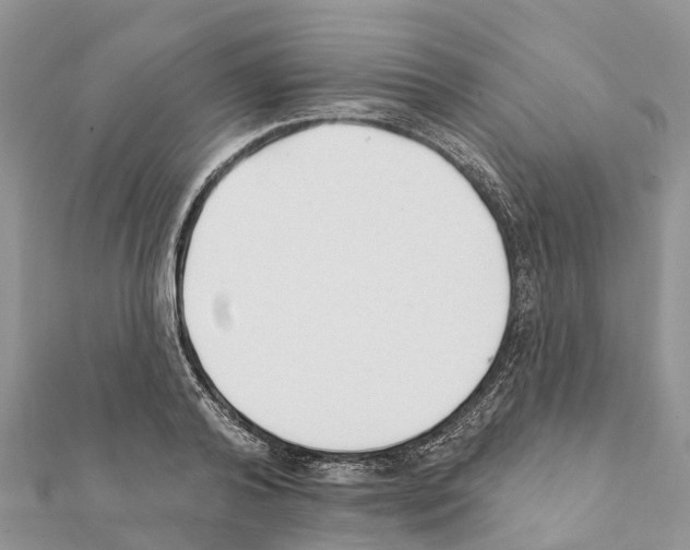 X0000111380792200908211338