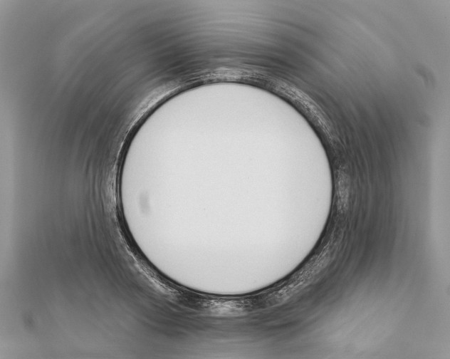 X0000111380794200908211338