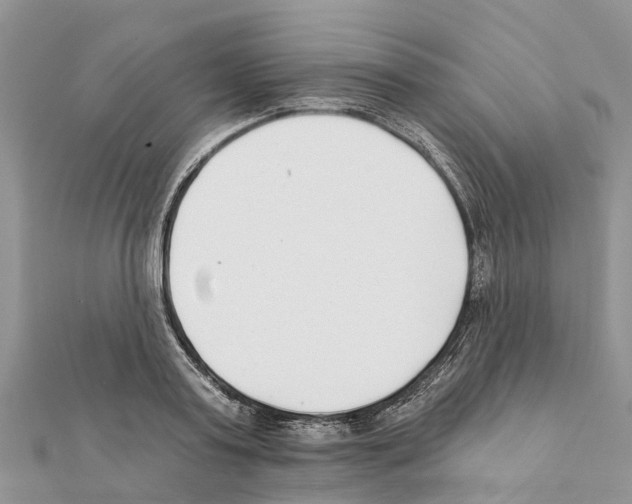 X0000111380795200908211338