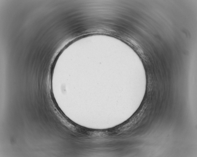 X0000111380796200908211338