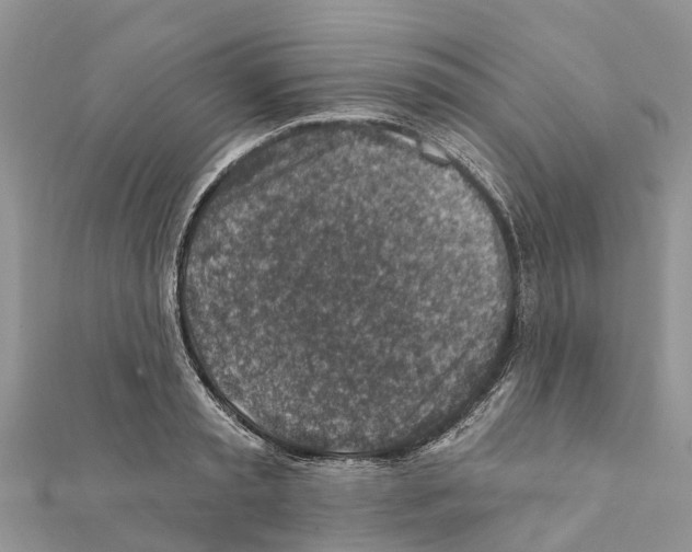 X0000111380797200908211338