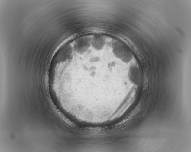 X0000111380798200908211338