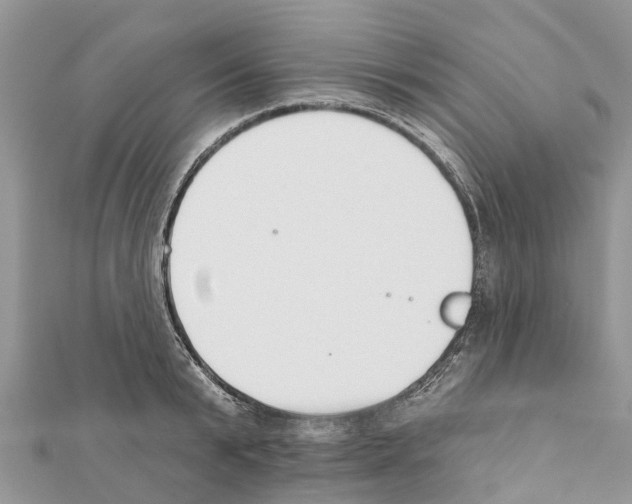 X0000111380799200908211338