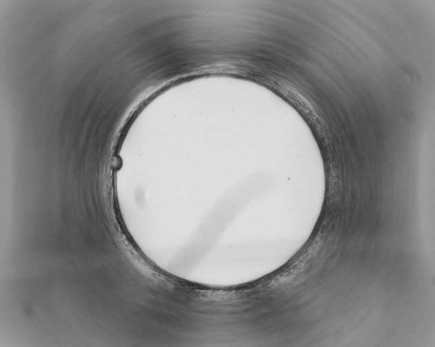 X0000111380800200908211338