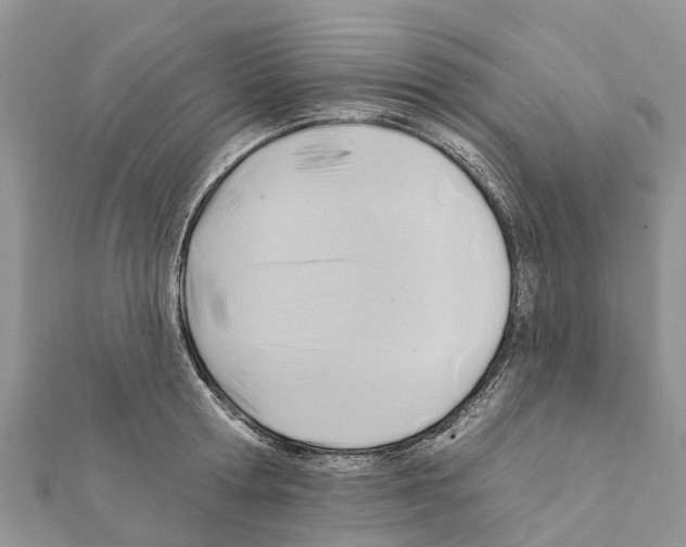 X0000111380802200908211338