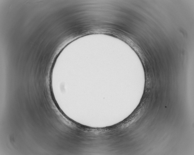 X0000111380803200908211338